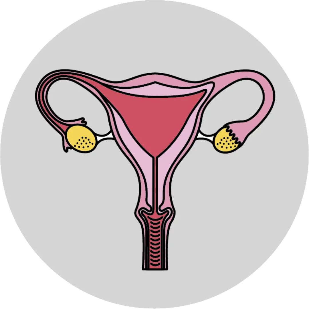 Reproductive Concerns